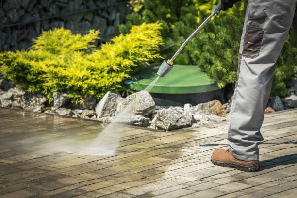 Best Spring Cleaning  in White City, FL